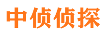 白沙侦探公司